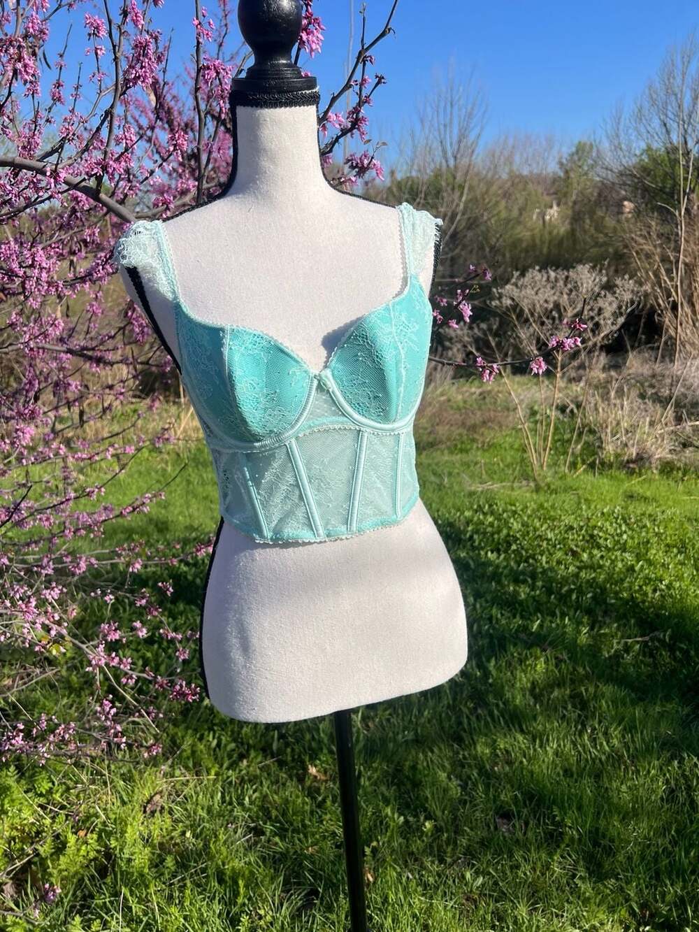 Victoria's Secret Dream Angels Mint Lace Cap-Sleeve Corset Bra Top